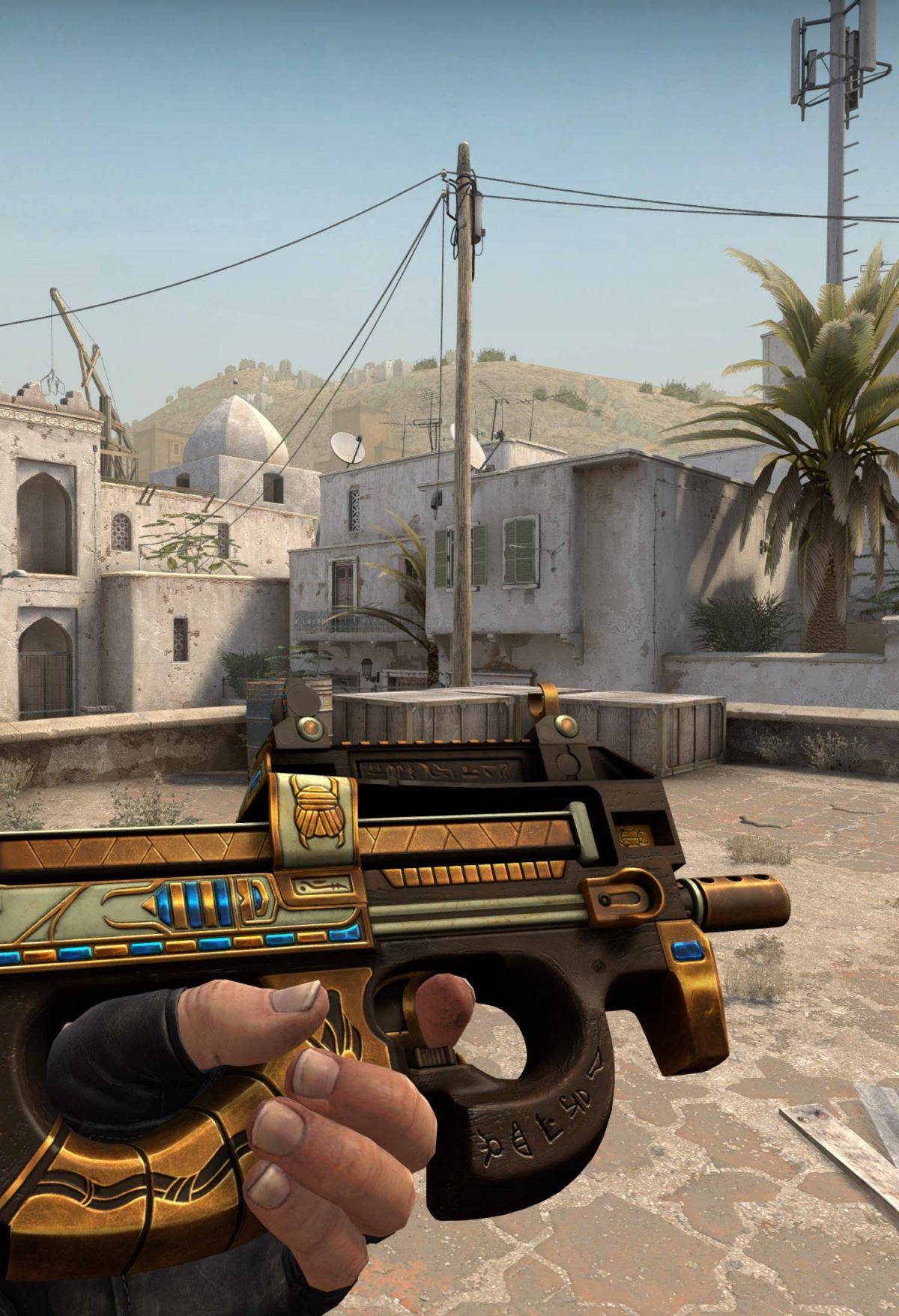 仅仅关注于 仅仅关注于